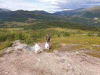opps_20211217_61bd096c8b871.jpg