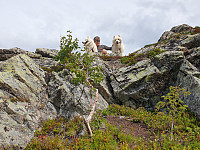 opps_20211217_61bd09703d57c.jpg