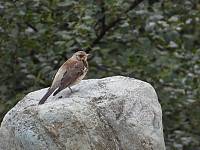opps_20211217_61bd097be9794.jpg