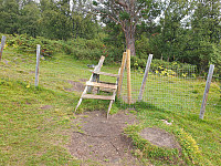 opps_20211217_61bd0a1d400ae.jpg