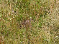 opps_20211217_61bd0a1f9a7e3.jpg