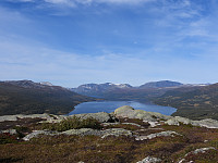 opps_20211217_61bd0ac720af2.jpg