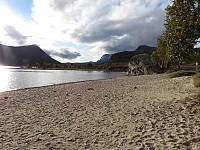 opps_20211217_61bd0b726be4c.jpg