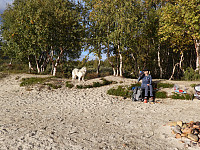opps_20211217_61bd0b760b82e.jpg