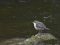 opps_20211217_61bd0b783bd65.jpg