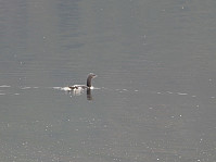 opps_20211217_61bd0b7b661e1.jpg