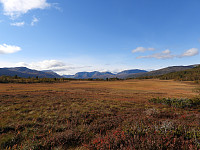 opps_20211217_61bd0d185f583.jpg