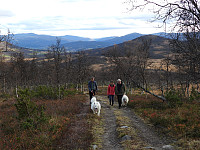 opps_20211218_61bd18da00a85.jpg
