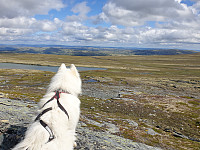opps_20211218_61be4f37a30f8.jpg