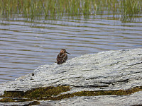 opps_20211218_61be4f475a459.jpg