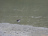 opps_20211218_61be4f5562b74.jpg