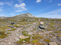 opps_20211218_61be55aa64872.jpg