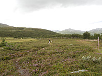 opps_20211218_61be59535234e.jpg