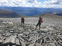 opps_20211218_61be5b3359256.jpg