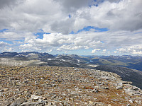 opps_20211218_61be5b3c8acce.jpg