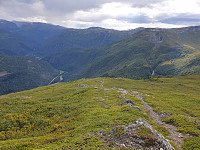 opps_20211218_61be5b51c54f2.jpg