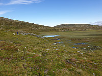 opps_20211218_61be5de562384.jpg