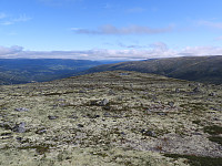 opps_20211218_61be5defde2e1.jpg