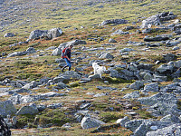 opps_20211218_61be5dfcd905e.jpg
