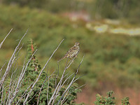 opps_20211218_61be5dfef06c2.jpg