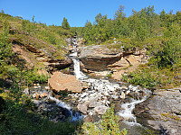 opps_20211218_61be63fcda6cd.jpg