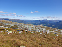 opps_20211218_61be6408a6468.jpg