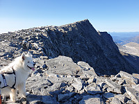 opps_20211219_61bf6821d923c.jpg