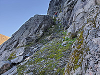 opps_20211219_61bf685932480.jpg