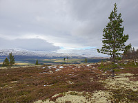 opps_20211219_61bf73d5eded3.jpg