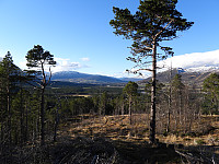 opps_20211219_61bf821643a95.jpg
