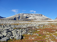 opps_20211222_61c392b3be202.jpg