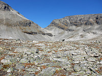 opps_20211222_61c392b5a1fde.jpg