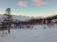 opps_20211225_61c7483ab4c63.jpg