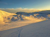 opps_20211225_61c7484049a32.jpg