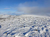 opps_20211225_61c74a0eef4fb.jpg