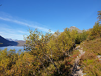 opps_20211225_61c7536ae1de0.jpg