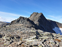 opps_20211225_61c753c1c1777.jpg