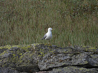 opps_20211226_61c886b234d19.jpg