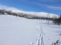 opps_20221227_63aafb48962dc.jpg