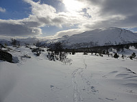 opps_20221227_63aaffe5c1807.jpg