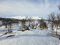 opps_20221227_63ab009777279.jpg