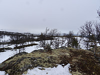 opps_20221227_63ab02a1f247e.jpg