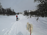 opps_20221227_63ab047902536.jpg