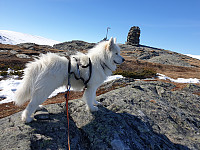 opps_20221227_63ab05aa34577.jpg