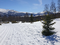 opps_20221227_63ab05accbe98.jpg