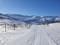 opps_20221227_63ab08702d8fd.jpg