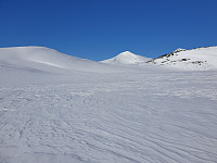 opps_20221227_63ab08767d398.jpg