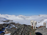 opps_20221227_63ab0879ecaaf.jpg