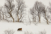 opps_20221227_63ab09468a614.jpg