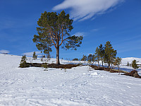 opps_20221227_63ab0a88eef40.jpg